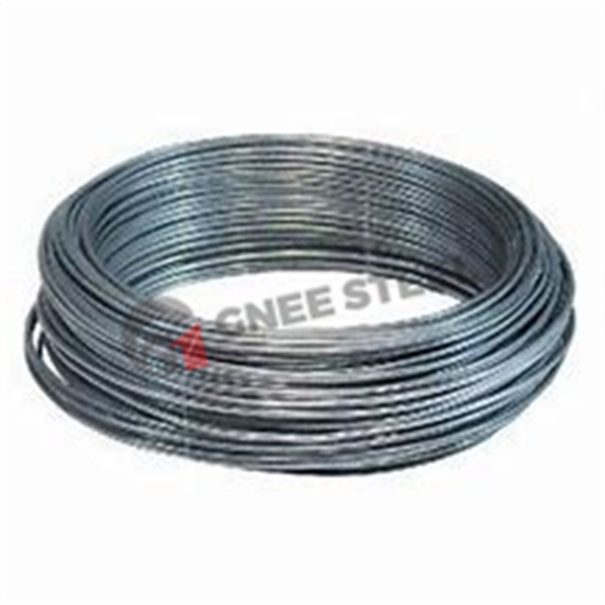 0.20-10.00 mm Wholesale Galvanized Steel Wire