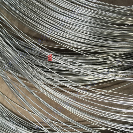 Galvanized Steel Wire at Cheap Price